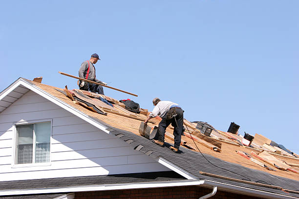 Best Roof Coating and Sealing  in Zumbrota, MN